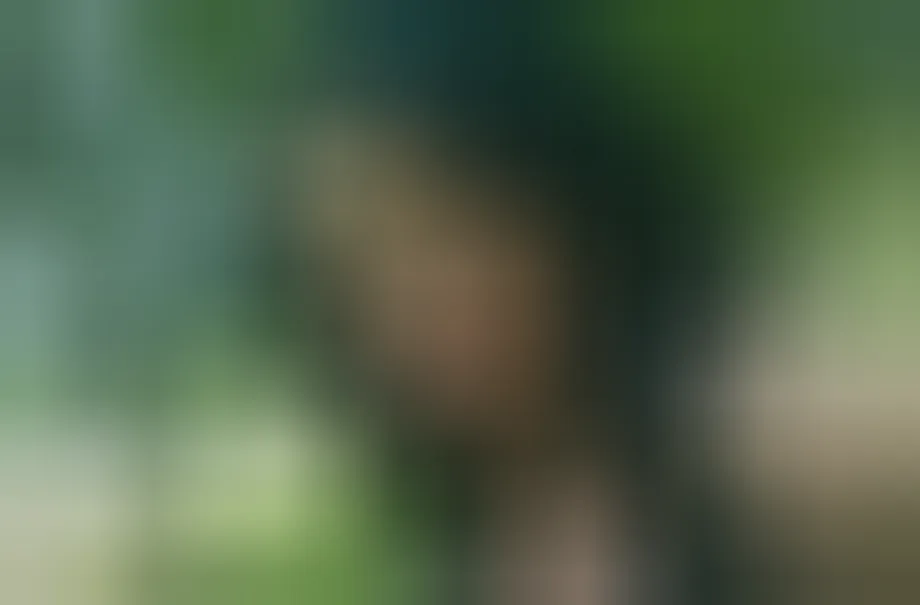 Laurie, 26 ans — plan cul à Vanves