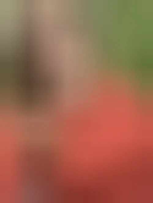 Élodie, 28 ans — plan cul à Quimper