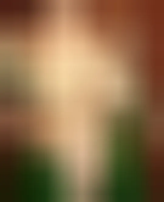 Lola, 28 ans — plan cul à Brest