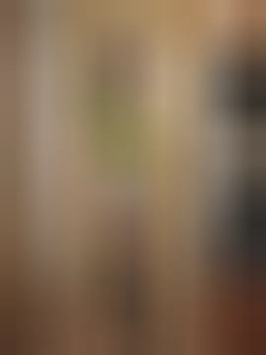 Valentine, 39 ans — plan cul à Beaune