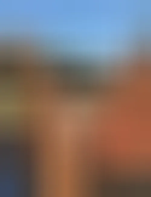 Sofia, 23 ans — plan cul à Saint-Thibault-des-Vignes