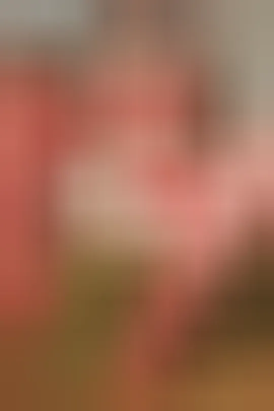 Coline, 24 ans — plan cul à Toulouse
