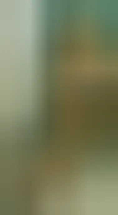 Hortense, 29 ans — plan cul à Colomiers