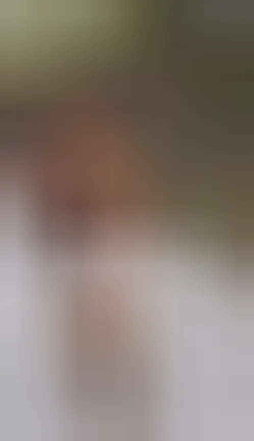 Natacha, 28 ans — plan cul à Abbeville