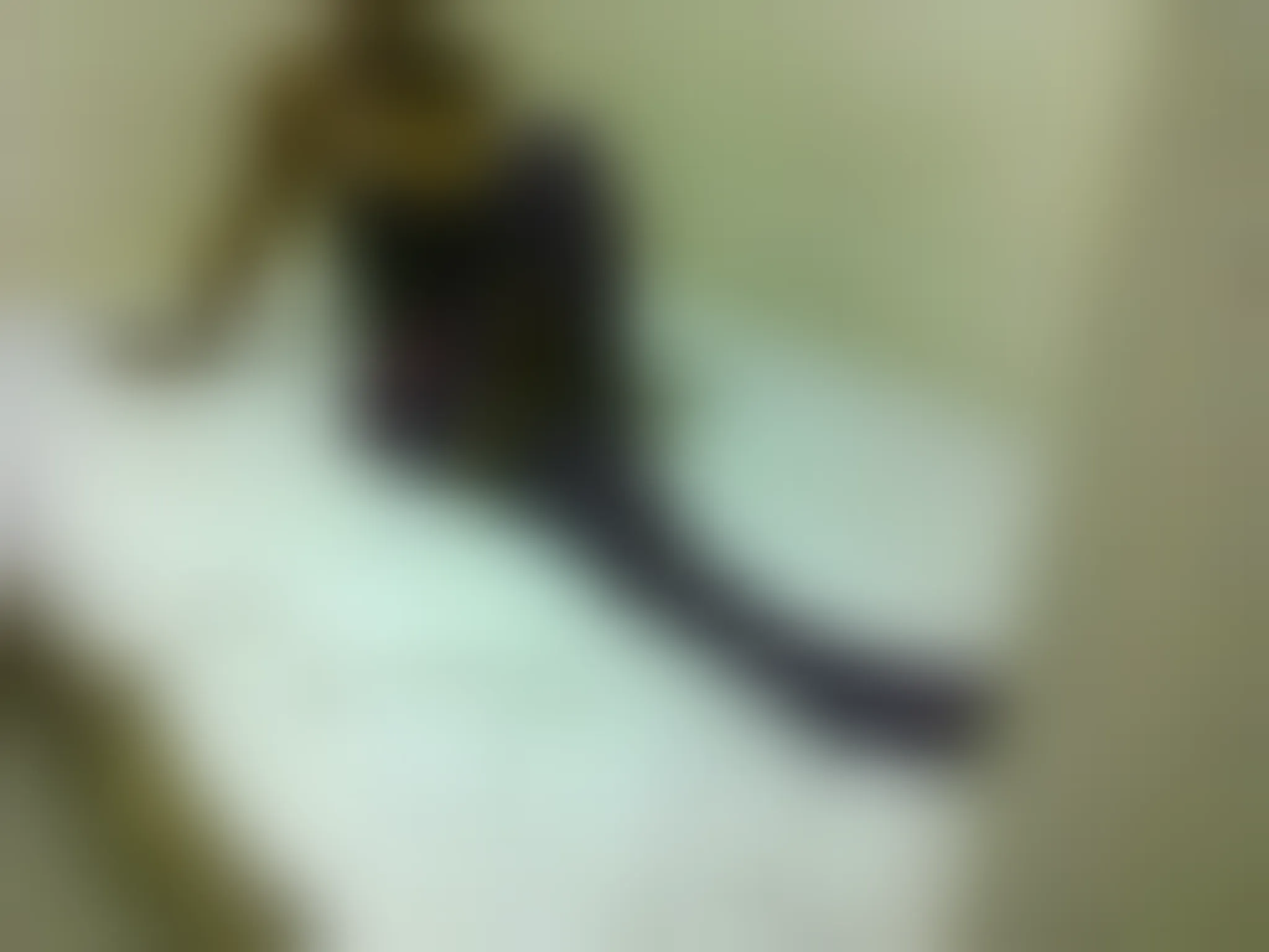 Mathilde, 23 ans — plan cul à Le Moule