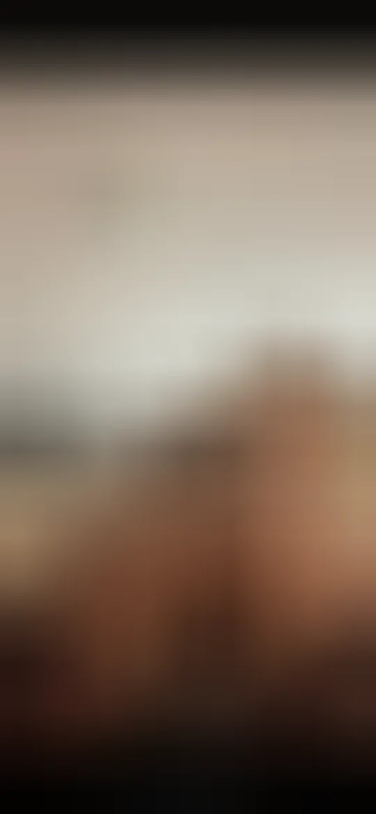 Jamila, 22 ans — plan cul à Cormontreuil