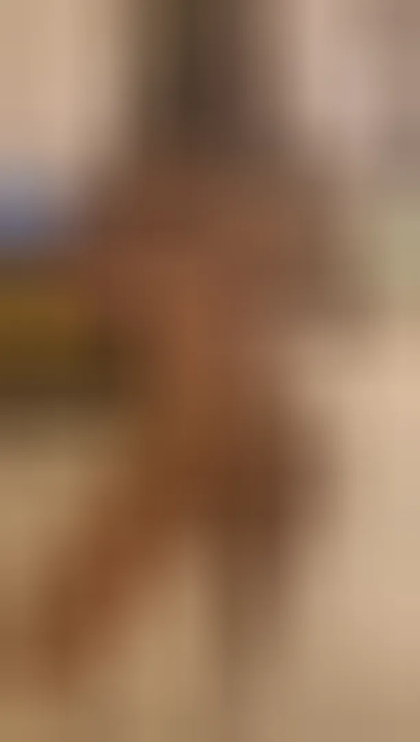 Ninon, 24 ans — plan cul à Saint-Étienne