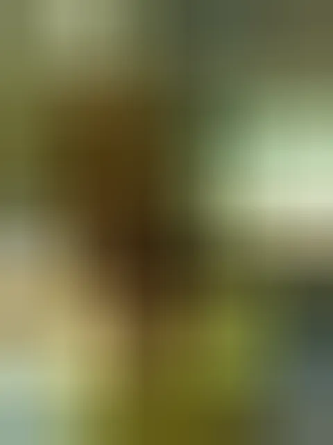 Nolwenn, 23 ans — plan cul à Crozon