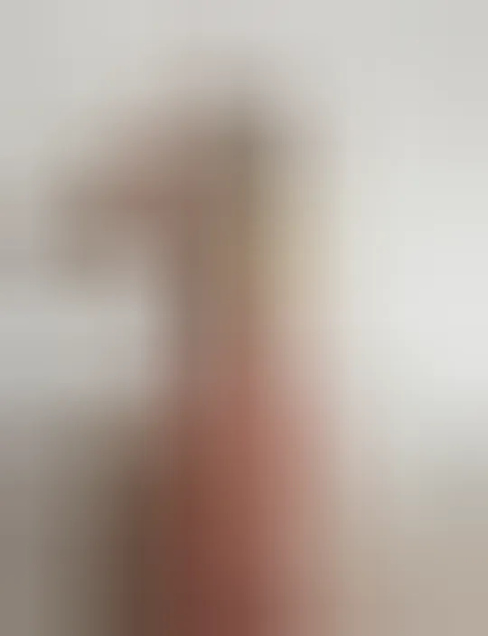 Alison, 28 ans — plan cul à Brest