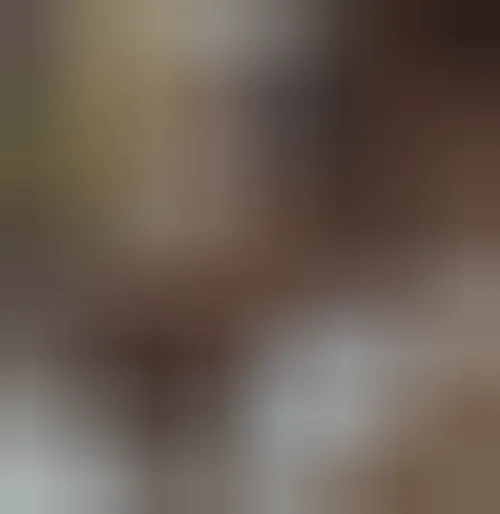 Yuna, 29 ans — plan cul à Commercy