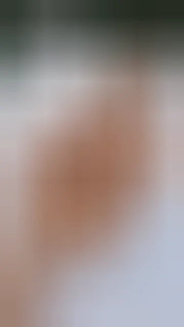 Nour, 24 ans — plan cul à Le Mans
